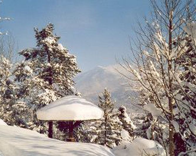 Abb. Hotel Alpenblick